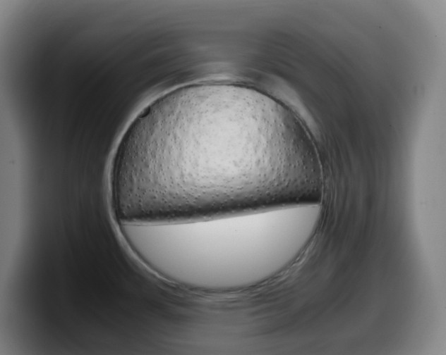 X0000099511483200805151000