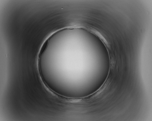 X0000099511484200805151000
