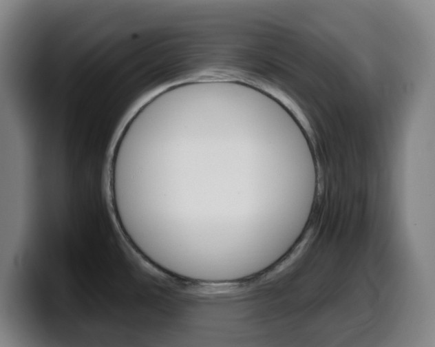 X0000099511486200805151000