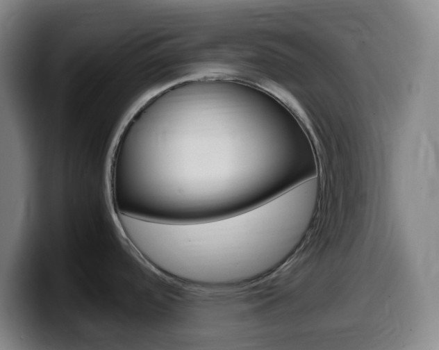 X0000099511488200805151000
