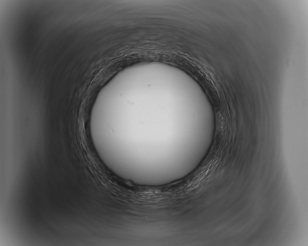 X0000099511489200805150959