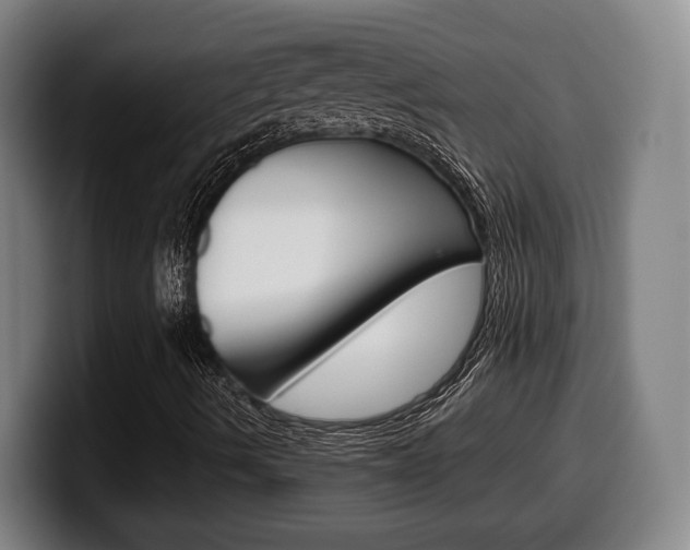X0000099511490200805150959