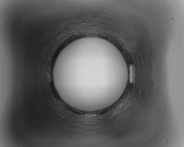 X0000099511491200805150959