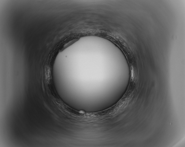 X0000099511492200805150959