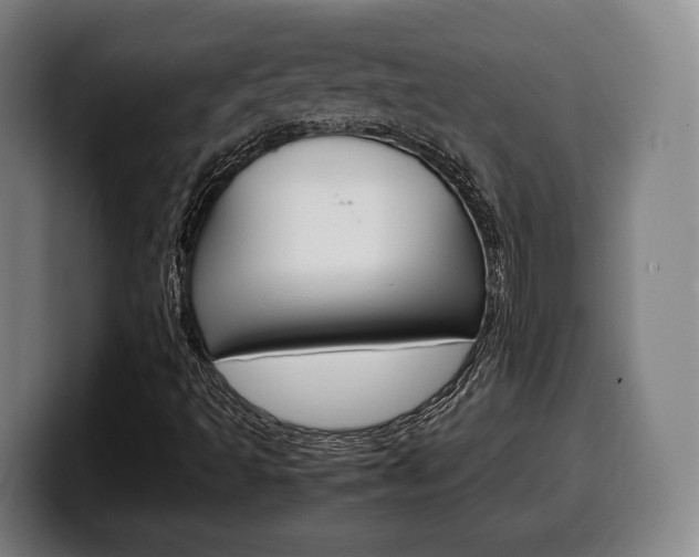 X0000099511493200805150959