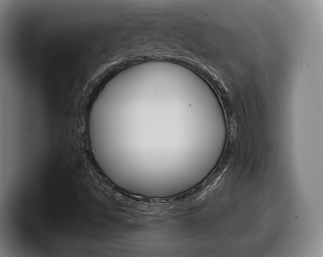 X0000099511494200805150959
