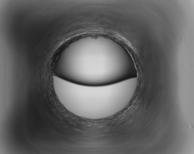 X0000099511496200805150959