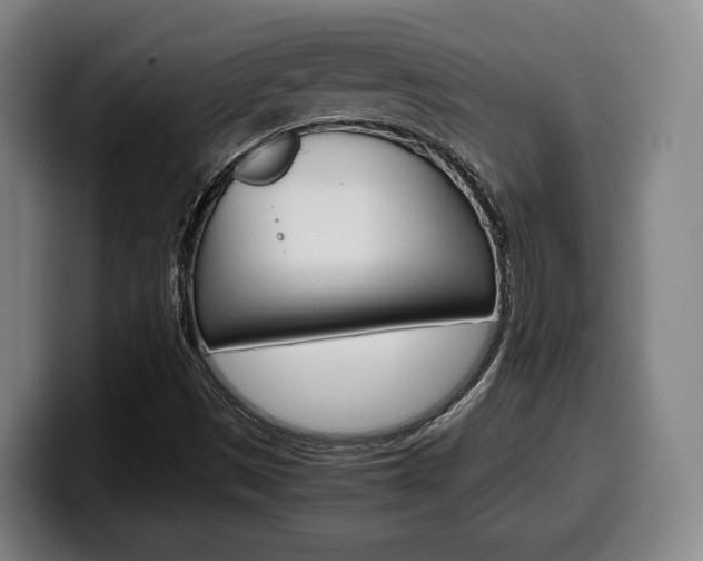 X0000099511497200805150959