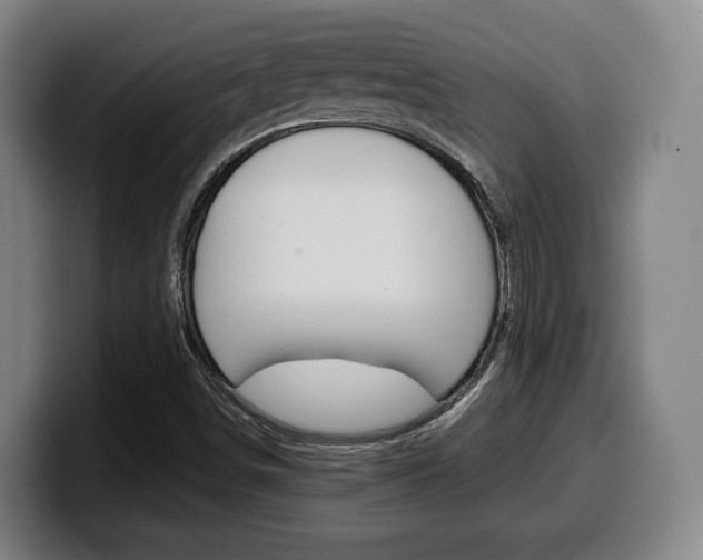 X0000099511498200805150959