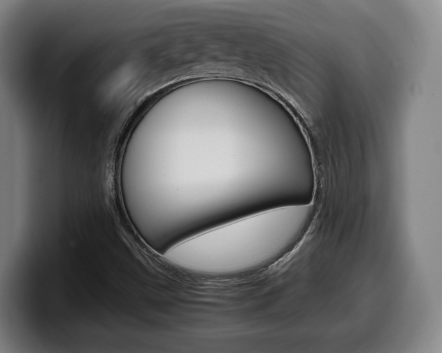 X0000099511499200805150959