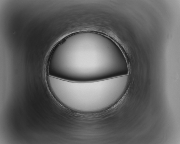 X0000099511500200805150959