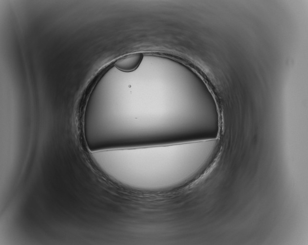 X0000099511501200805150959