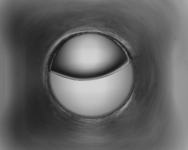 X0000099511502200805150959