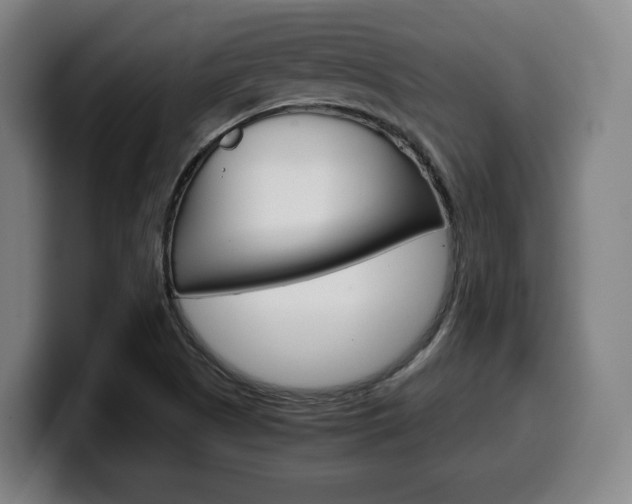 X0000099511505200805150959