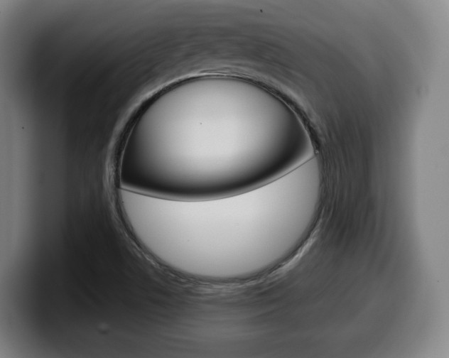 X0000099511506200805150959