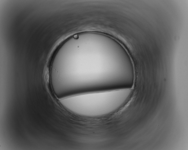 X0000099511509200805150959