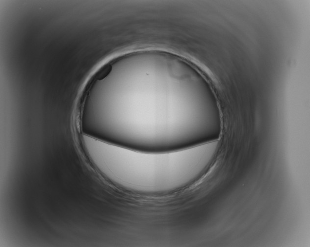 X0000099511510200805150959