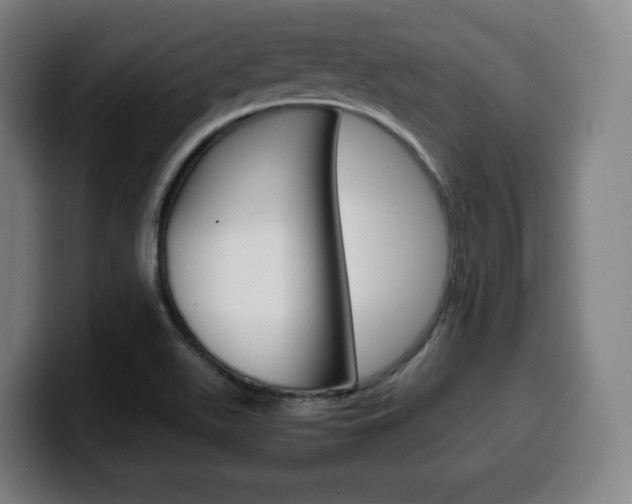 X0000099511511200805150959