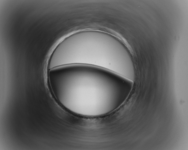 X0000099511512200805150959