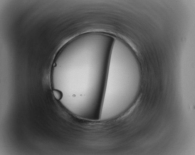 X0000099511513200805150959