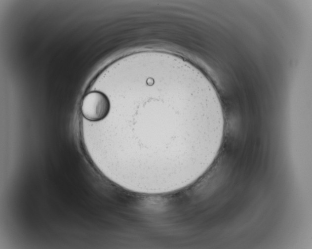 X0000099511514200805150959