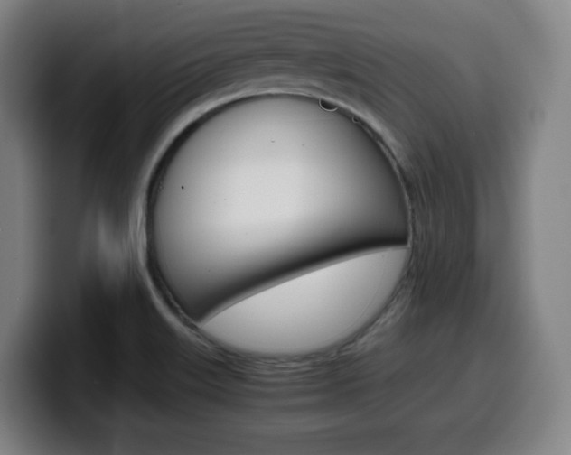 X0000099511515200805150959