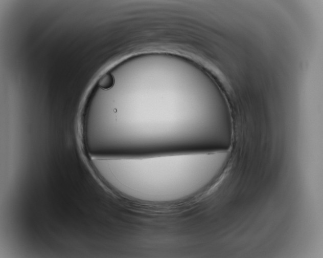 X0000099511517200805150959