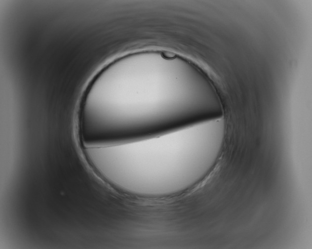 X0000099511518200805150959