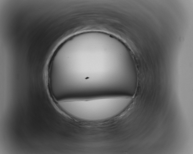 X0000099511519200805150959