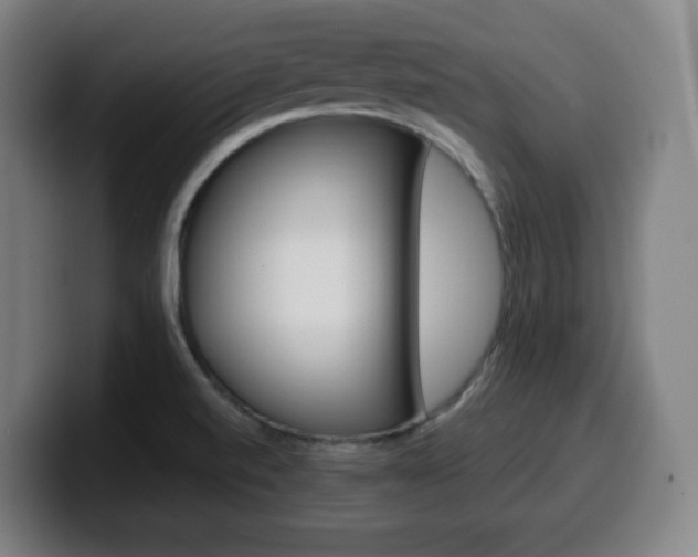 X0000099511520200805151000
