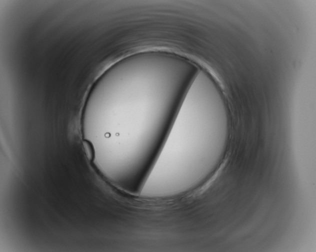X0000099511521200805151000