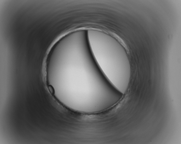 X0000099511522200805151000