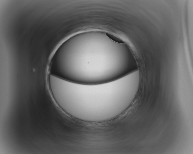 X0000099511524200805151000