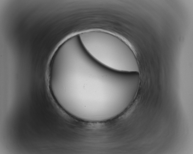 X0000099511526200805151000