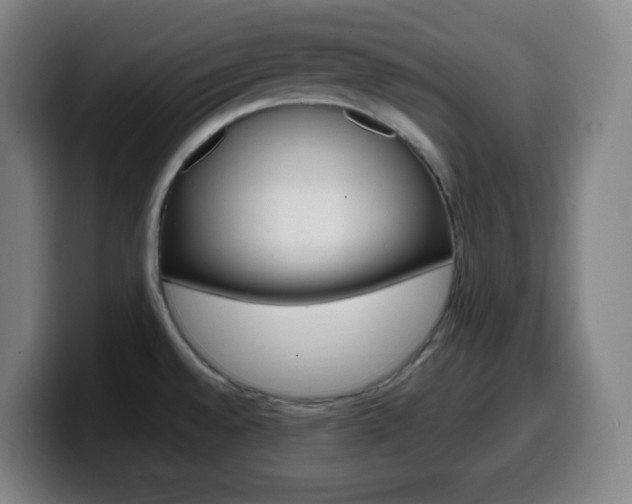 X0000099511528200805151000
