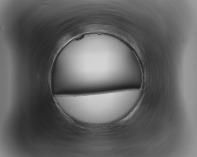 X0000099511529200805151000