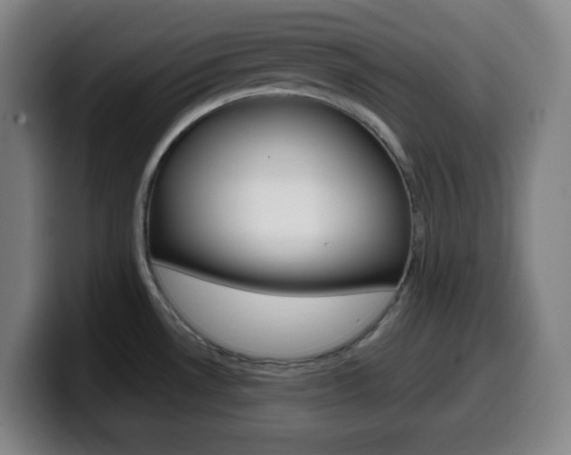 X0000099511530200805151000