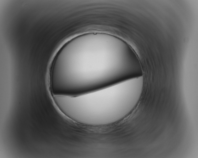 X0000099511531200805151000