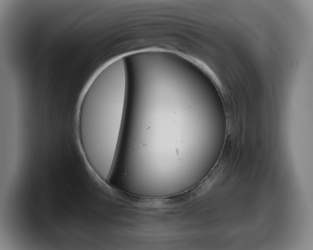 X0000099511532200805151000