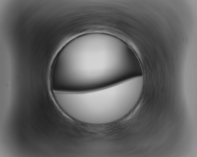 X0000099511533200805151000