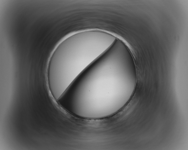 X0000099511534200805151000