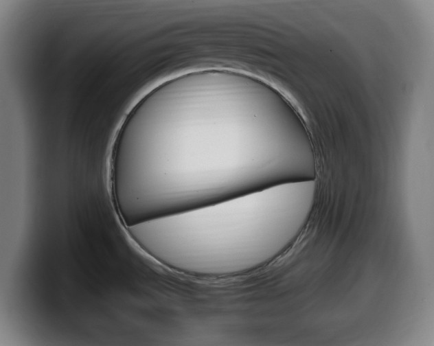 X0000099511535200805151000