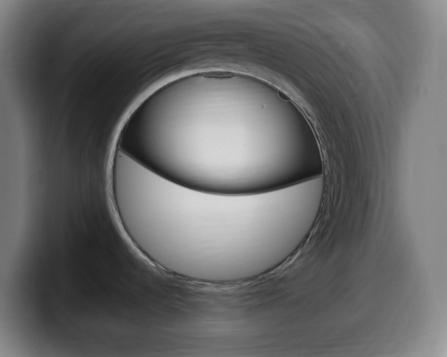 X0000099511536200805151000