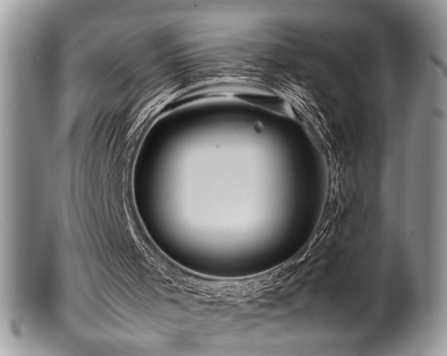 X0000099510001200805151511