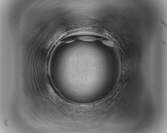 X0000099510002200805151511