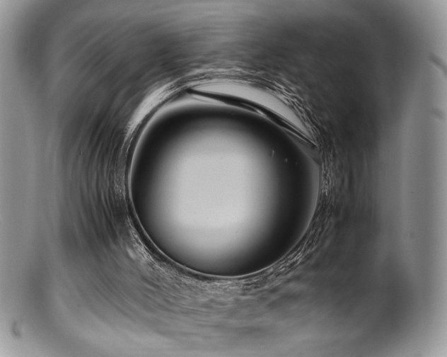 X0000099510004200805151511