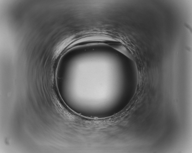 X0000099510005200805151511