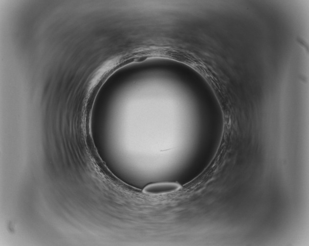 X0000099510006200805151511