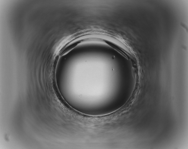 X0000099510007200805151511