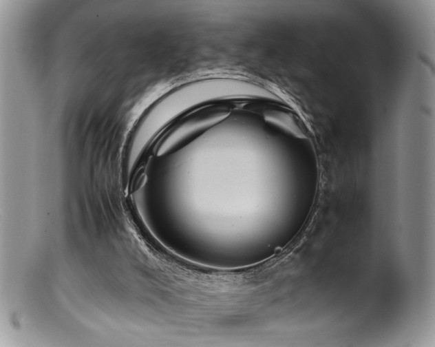 X0000099510008200805151511